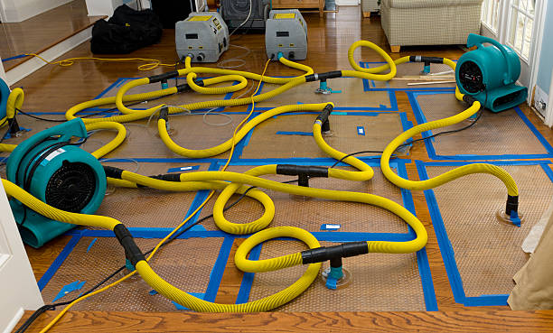 Professional Burst Pipe Water Damage technician working in Hurley, NM